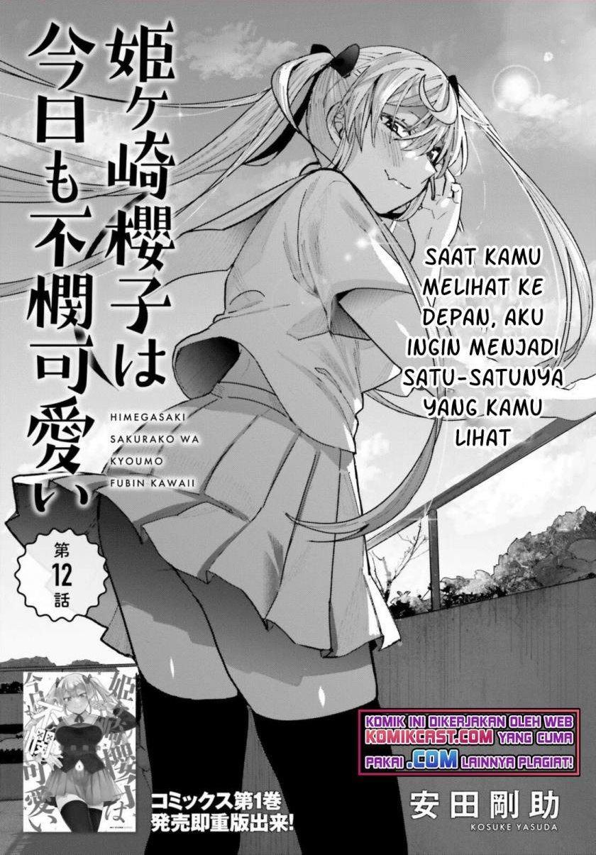 Himegasaki Sakurako wa Kyoumo Fubin Kawaii! Chapter 12