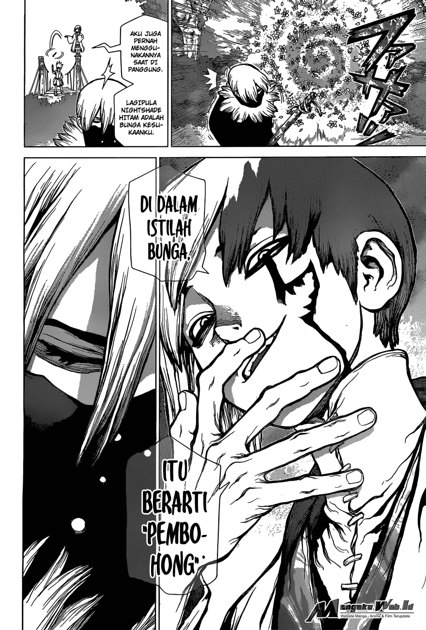 Dr. Stone Chapter 48