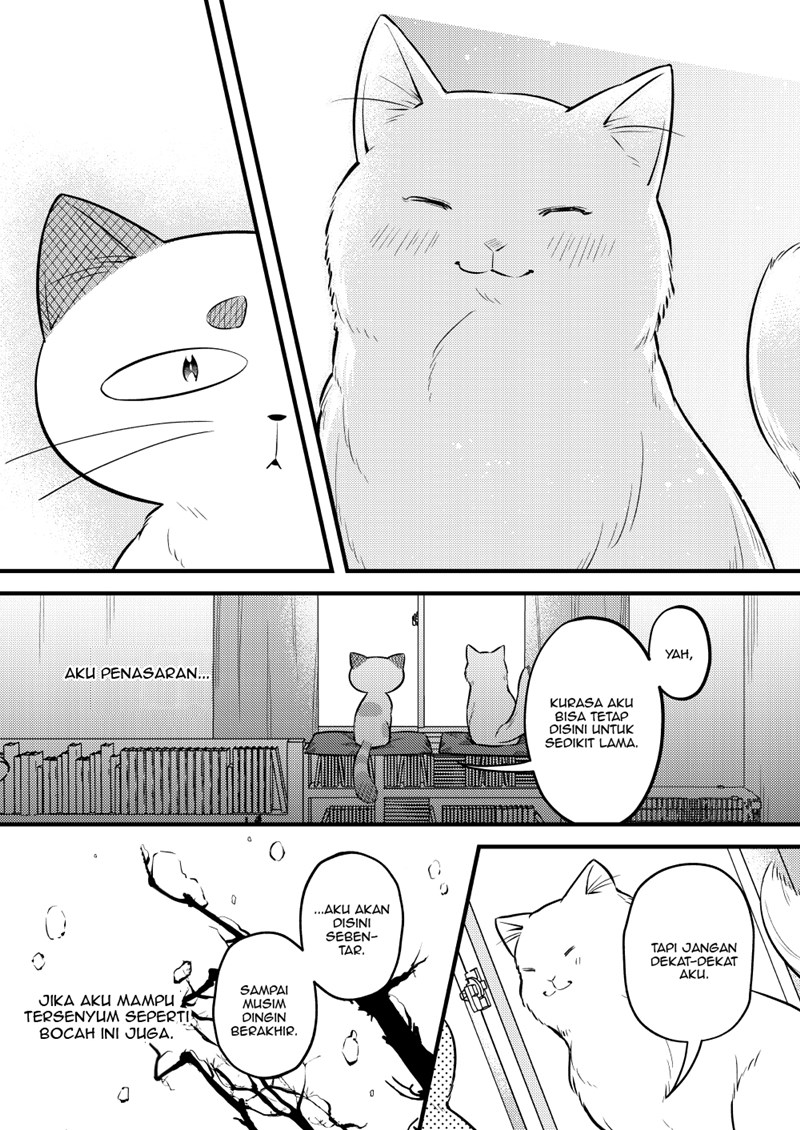 The Story of a Cat That Has Lived for 100 Years Chapter 00