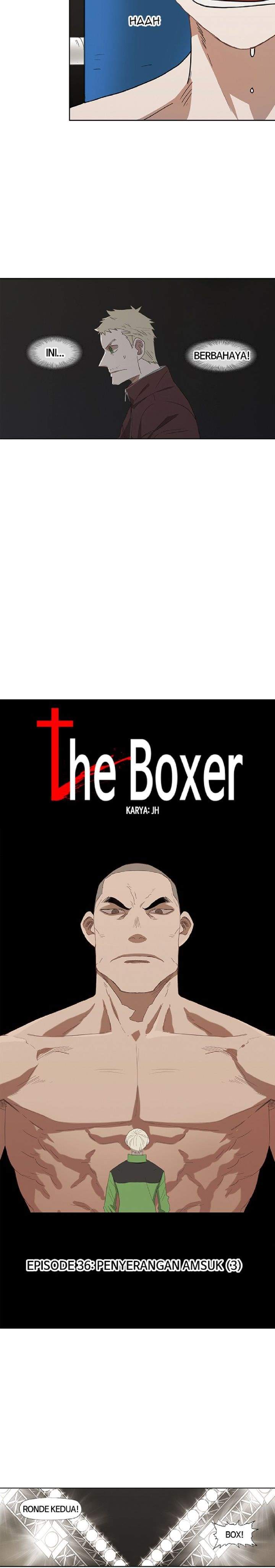 The Boxer Chapter 36
